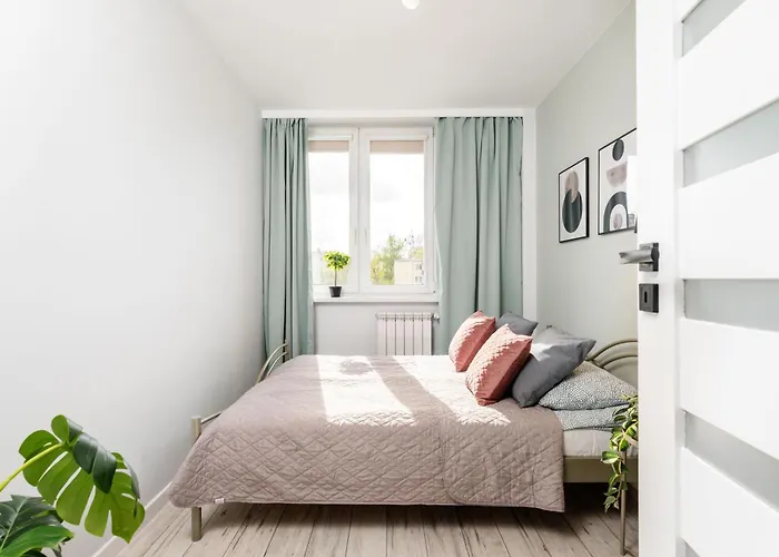 Avocado 2 In The Center *